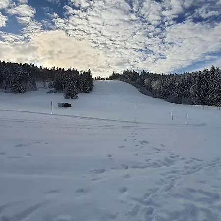 Seeblick Mit Balkon - Mein Schwarzwaldhaeusle Todtmoos