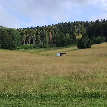 Seeblick Mit Balkon - Mein Schwarzwaldhaeusle Todtmoos