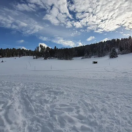 Seeblick Mit Balkon - Mein Schwarzwaldhaeusle Apartment Todtmoos