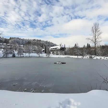 Seeblick Mit Balkon - Mein Schwarzwaldhaeusle Apartamento *
