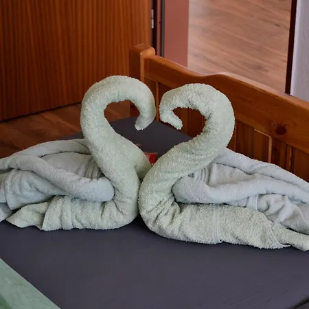 Seeblick Mit Balkon - Mein Schwarzwaldhaeusle * Todtmoos