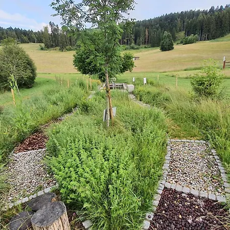 Seeblick Mit Balkon - Mein Schwarzwaldhaeusle * Todtmoos