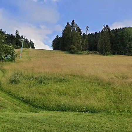Seeblick Mit Balkon - Mein Schwarzwaldhaeusle Todtmoos
