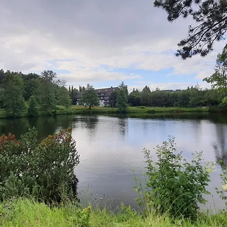 Seeblick Mit Balkon - Mein Schwarzwaldhaeusle * Todtmoos