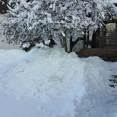 Apartamento Seeblick Mit Balkon - Mein Schwarzwaldhaeusle Todtmoos