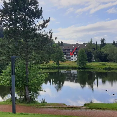 Seeblick Mit Balkon - Mein Schwarzwaldhaeusle Apartamento Todtmoos