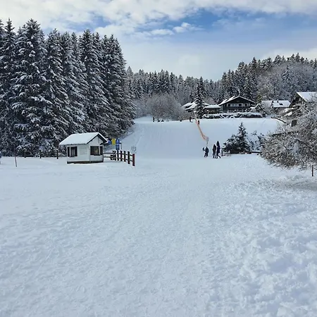 Seeblick Mit Balkon - Mein Schwarzwaldhaeusle * Todtmoos